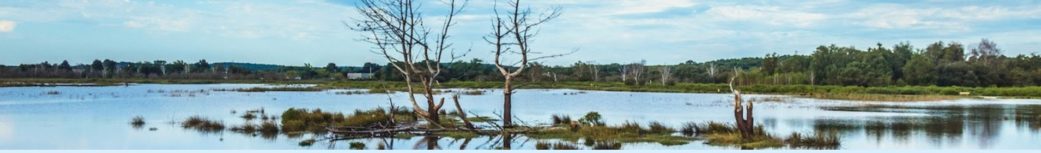 bassin-arcachon